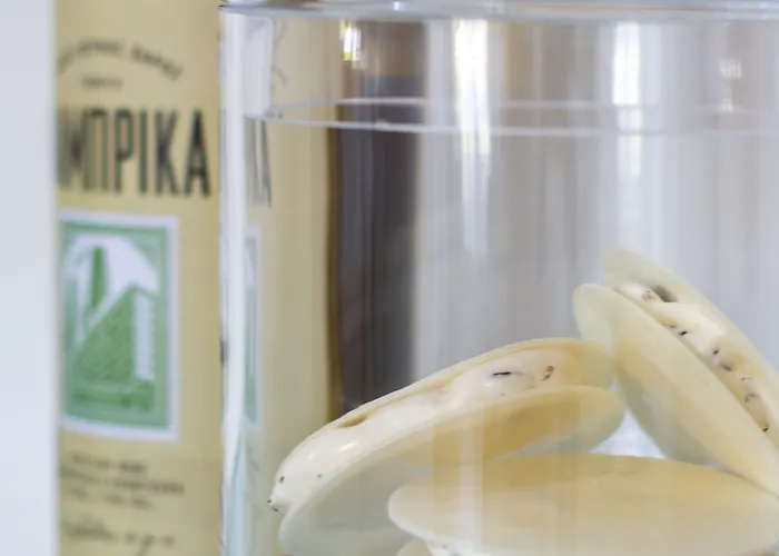 Πανσιόν γιωσηφάκι Βάρη